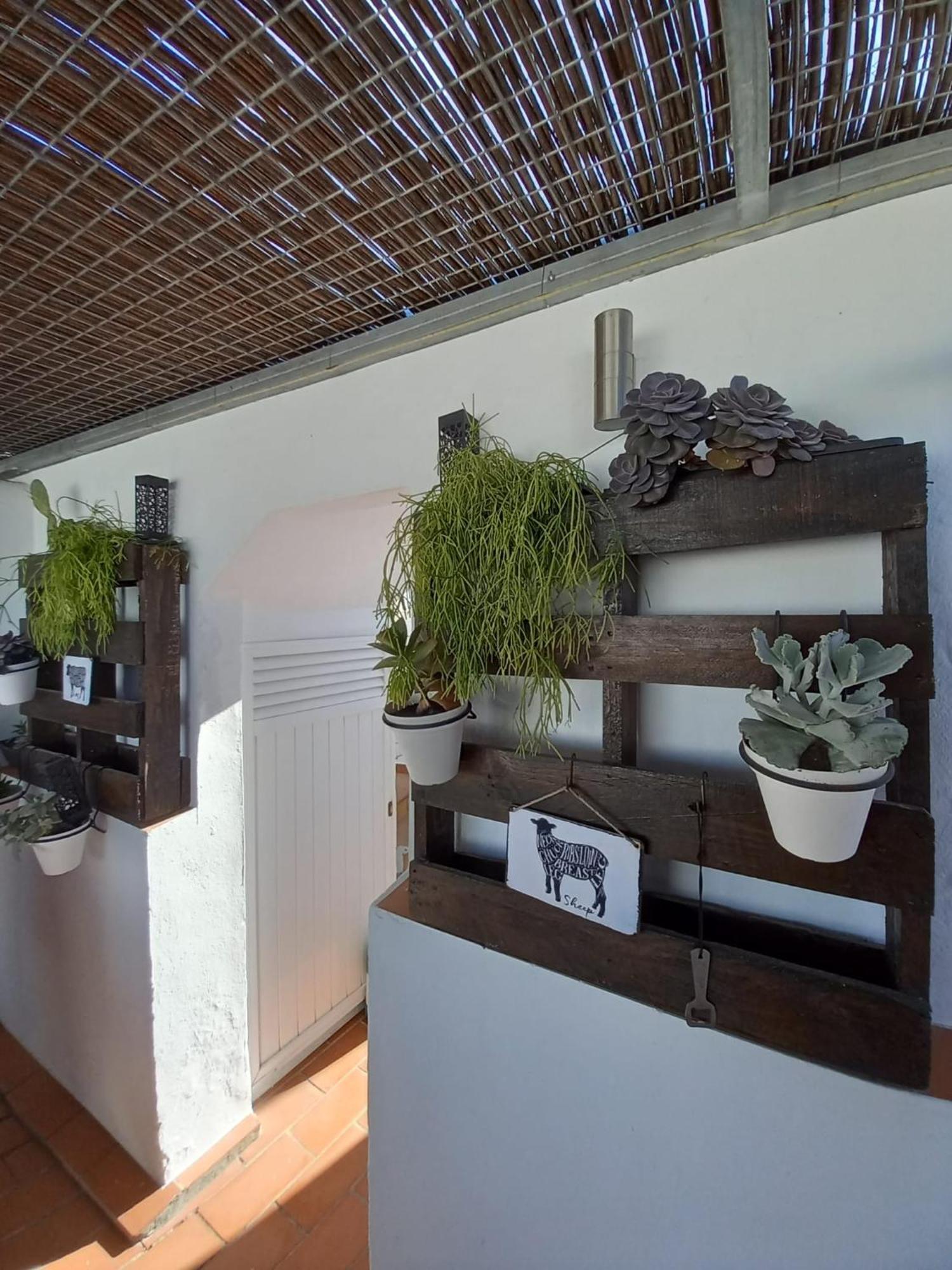 הוילה קוניל דה לה פרונטרה Casa El Molino מראה חיצוני תמונה